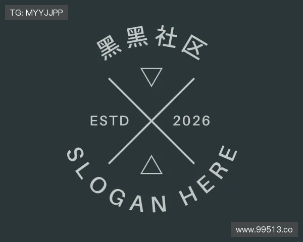 概述黑黑社区